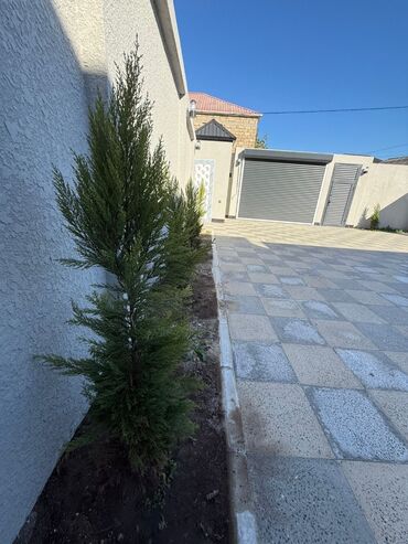 Həyət evləri və villaların satışı: Binə 4 otaqlı, 160 kv. m, Kredit var, Yeni təmirli — 6