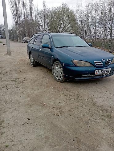 Nissan: Nissan Primera: 2001 г., Универсал — 5