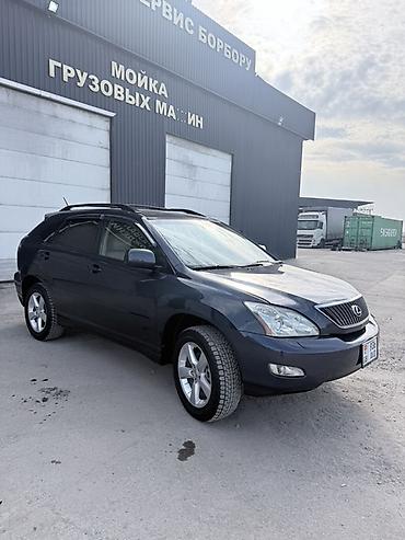 Lexus: Lexus RX: 2004 г., Кроссовер — 6