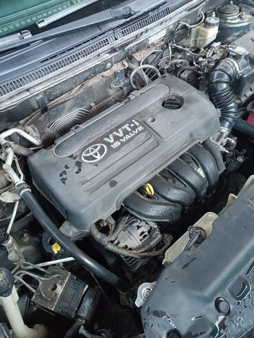 Toyota: Toyota Corolla: 2005 г., 1.6 л, Автомат, Бензин, Седан — 9