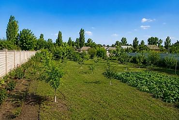 калганы: 35 соток, Айыл чарба үчүн — 1