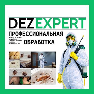 услуги тамады цена: Дезинфекция, дезинсекция, | Клопы, Блохи, Тараканы, | Транспорт, Офисы, Квартиры — 1