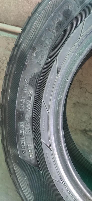 Шины: Шины 195 / 65 / R 15, Всесезонная, Б/у, Легковые, Германия — 9
