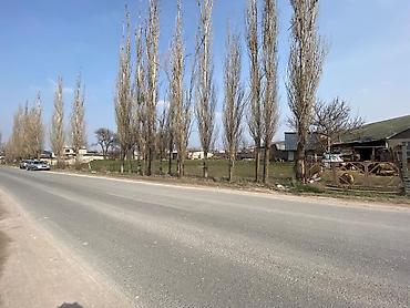 Продажа участков: 5 соток, Для строительства, Красная книга at lalafo.kg — 5 Продажа участков: 5 соток, Для строительства, Красная книга — 5