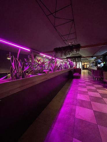 Продажа ресторанов, кафе: Продаётся коммерческая недвижимость — действующее кафе в самом центре — 15