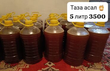 коленный стул бишкек: Мёд