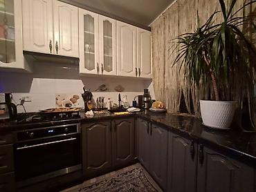 Продажа коттеджей и домов: 📢 **🏡 Продаётся дом** 📍 с. Новопавловка 🏠 100 м², 1 этаж 📐 Участок 5 at lalafo.kg — 5 Продажа коттеджей и домов: 📢 **🏡 Продаётся дом** 📍 с. Новопавловка 🏠 100 м², 1 этаж 📐 Участок 5 — 5