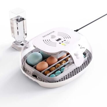 сепаратор для яиц: Инкубатор на 16 яиц