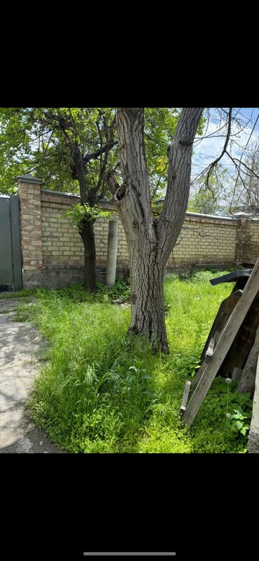 киргизия 1 дома: 170 м², 5 комнат
