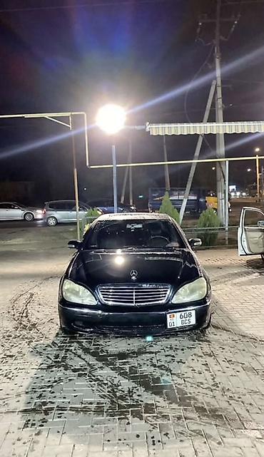 шторка w210: Mercedes-Benz S-Class: 1999 г., 5 л, Газ, Седан — 3