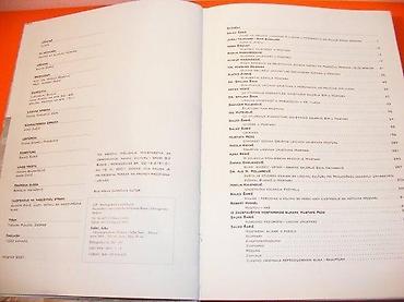 e cilele: Likovna Pozornica Mostara Autor: Salko Šarić Mostar, 2001 Tvrdi povez — 2