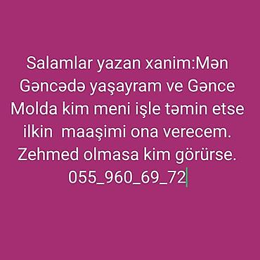 Köməkçilər, assistentlər: Xidmət: İşə düzəltmə dəstəyi axtaran xanımın müraciəti Təsvir: - — 3