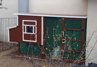 Yuvalar: Tuyuq yuvası Hin sifarişlə hazırlanması istənilən ölçüdə tam — 12