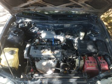 нексия машина: Toyota Corolla: 1995 г., 1.6 л, Механика, Бензин, Седан