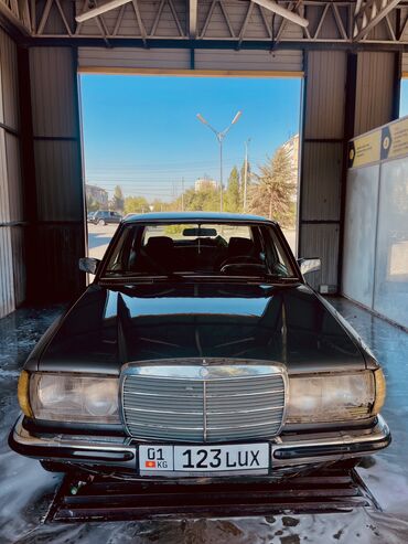 Mercedes-Benz: Mercedes-Benz W123: 1983 г., 3 л, Механика, Дизель, Седан