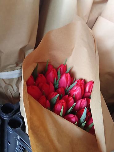 Букеты из живых цветов: Тюльпаны срезанные, сортовые, упакованные партиями. - Палитра — 7