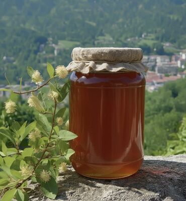 Молочные продукты и яйца: Hər növ balımız özünəməxsus dad və fayda ilə seçilir: 🌰 Şabalıd balı –