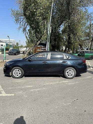 shevrolet lacetti: Kia K3: 2020 г., 1.6 л, Бензин, Седан — 6