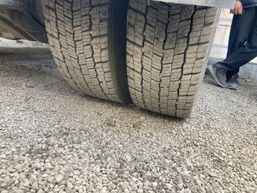 меняю на недвижимость: Шиналар 295 / 80 / R 22,5, All-season, Колдонулган, Комплект, Жүк ташуучу унаалар/Автобустар, Чехия, Continental