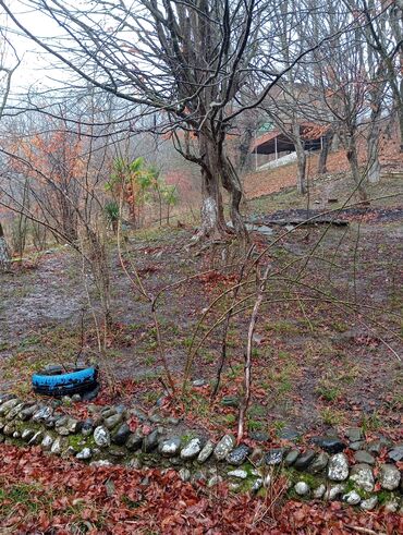 Restoran, kafelər: Masalli İsti su yaxin. 3 hektar ərazi 7 katej 6 bisetka. Tam islek -da lalafo.az — 2 Restoran, kafelər: Masalli İsti su yaxin. 3 hektar ərazi 7 katej 6 bisetka. Tam islek — 2