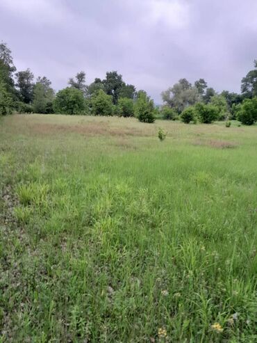 Torpaq sahələrinin satışı: 75 sot, Tikinti, Maklerlər narahat etməsin, Kupça (Çıxarış) -da lalafo.az — 15 Torpaq sahələrinin satışı: 75 sot, Tikinti, Maklerlər narahat etməsin, Kupça (Çıxarış) — 15