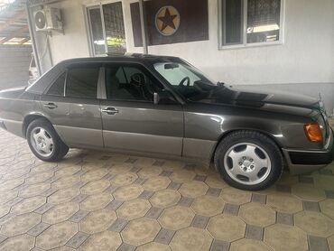 Mercedes-Benz: Mercedes-Benz 230: 1994 г., 2.3 л, Механика, Газ
