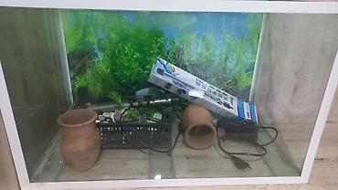 akvariumlar: Dördbucaq akvarium, Boş, 135 l, Ünvandan götürmə — 7
