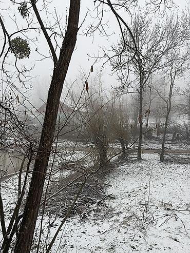 yeni emlak xirdalan: 4 sot, Tikinti, Mülkiyyətçi, Kupça (Çıxarış) — 4