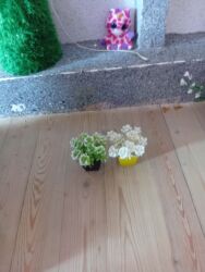 Süni güllər: Bu gülər satlır qiymətləri 1.2 manat yekə gülər 5 manat biri qalanı — 10