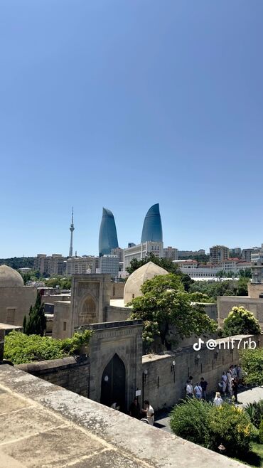 Digər biznes avadanlığı: Dayə işi axtarıram — 19