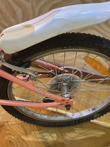 Velosipedlər: Uşaq velosipedi – Trek 60 Velolider magazasindan alinib. - Çərçivə — 6