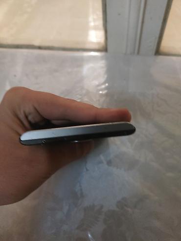 Ежевика: Ежевика Priv, цвет - Черный — 7