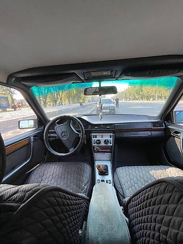 листва на 124: Mercedes-Benz W124: 1992 г., 2.2 л, Механика, Бензин, Седан — 6