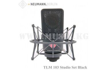 караоке колонка с микрофоном: Студийный микрофон Neumann TLM 103 MT Studio Set Black Neumann TLM