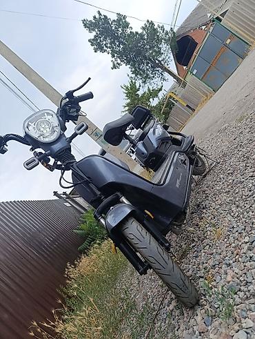 Скутеры: Мини мопед 50 куб. см, Электро, Новый — 11