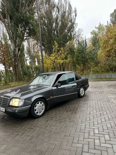 Mercedes-Benz: Mercedes-Benz W124: 1995 г., 2 л, Механика, Бензин, Седан