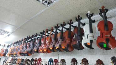 niva urban aksesuarları - Azərbaycan: Skripkalar Hər növdə skripka musiqi alətləriSkripka təmiriSkripka simi