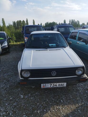 нехия 1: Volkswagen Golf: 1991 г., 1.8 л, Механика, Бензин, Хэтчбэк