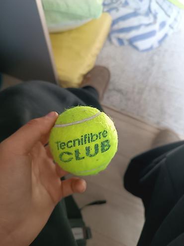 одежда для мма: Теннисный мяч Tecnifibre CLUB - Тип: мяч для большого тенниса - — 2