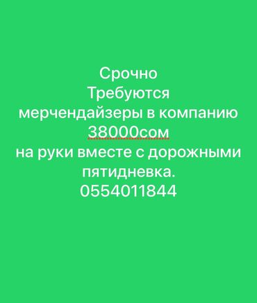 работа охрана ош: Талап кылынат Мерчендайзер, Иш тартиби: Беш күндүк, Толук жумуш күнү, Карьера жактан көтөрүлүү