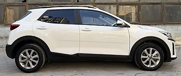 m 5: Kia Stonic: 2019 г., 1.6 л, Автомат, Бензин, Кроссовер — 6
