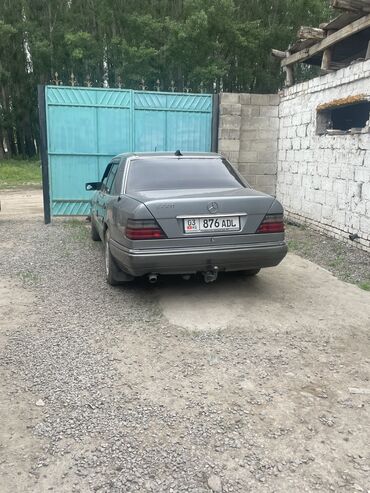 Mercedes-Benz 220: 1993 г., 2.2 л, Автомат, Бензин, Седан