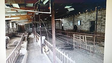 mida yasamal da ev satılır: FERMA HAZIR ISTIFADEYE YARARLI HEC BIR XERC TELEB ETMIR UMUMILIKDE 4 — 9