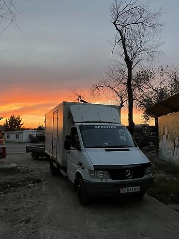 спринтер 2х скат: Mercedes-Benz Sprinter — бортовой/фургонный малотоннажный грузовик — 2