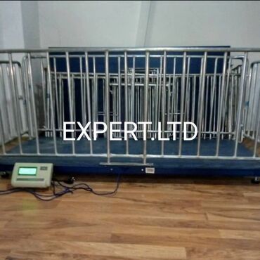 Ticarət tərəziləri: Elektron, 100 kq, Pulsuz quraşdırma — 18