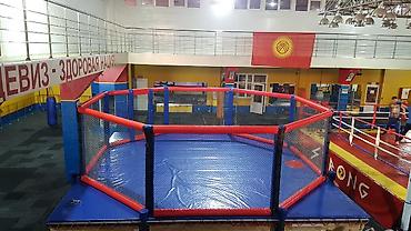 мяч select: •чучело борцовское •груша бокс •груша-капля малая. •макивара(лапа — 7