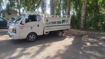 уголь арча бешик: Портер, Вывоз строй мусора, По региону, По городу, без грузчика