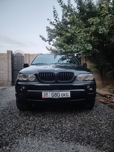 BMW: BMW X5: 2002 г., 3 л, Кроссовер