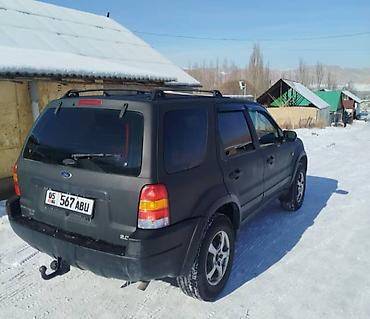 245 75 15: Ford Escape: 2004 г., 2 л, Механика, Бензин, Внедорожник — 2