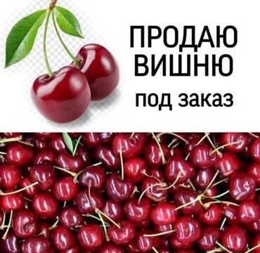 купить кровать бу кривой рог: Вишня В розницу, Самовывоз